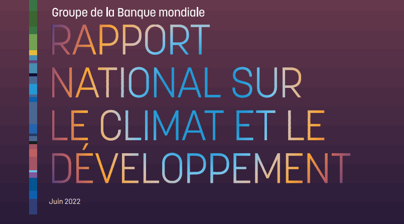 FINANCE DURABLE | CAMEROUN : La Banque mondiale appelle à une législation favorable à l'économie verte 
