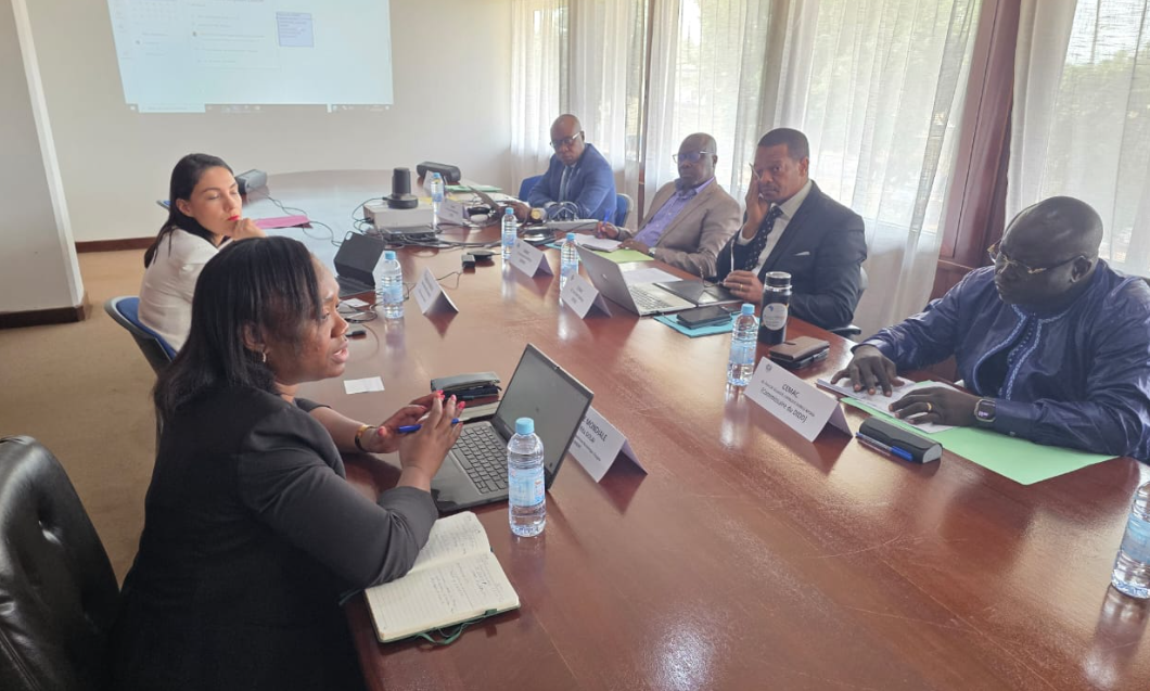 CEMAC | INTEGRATION NUMERIQUE : Vers un marché unique et des lois-cadres grâce au Programme régional d'intégration numérique en Afrique centrale (CARDIP),